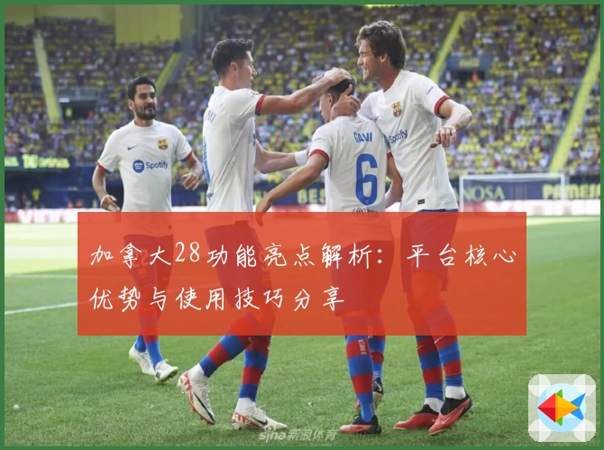 加拿大28功能亮点解析:平台核心优势与使用技巧分享