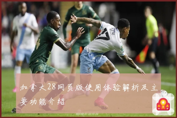 加拿大28网页版使用体验解析及主要功能介绍