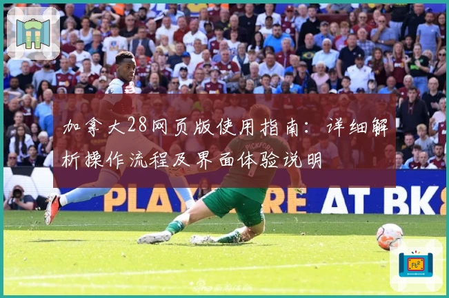 加拿大28网页版使用指南:详细解析操作流程及界面体验说明