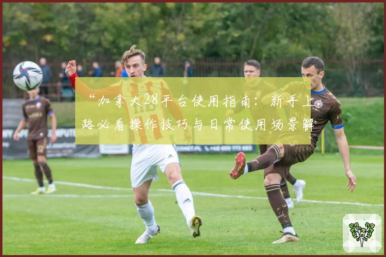 “加拿大28平台使用指南：新手上路必看操作技巧与日常使用场景解析”