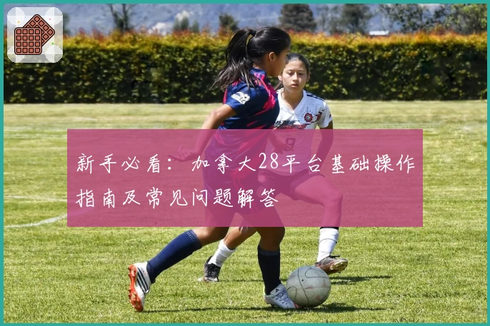 新手必看：加拿大28平台基础操作指南及常见问题解答