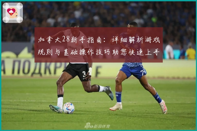 加拿大28新手指南：详细解析游戏规则与基础操作技巧助您快速上手