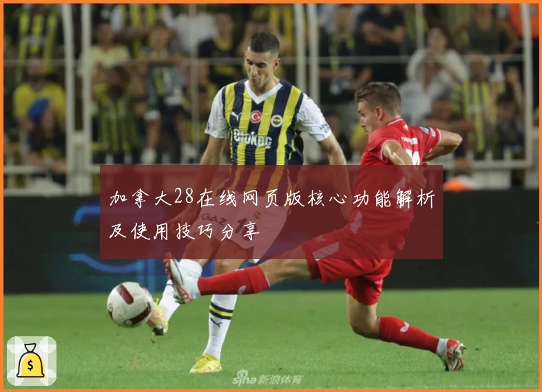 加拿大28在线网页版核心功能解析及使用技巧分享