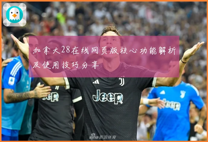加拿大28在线网页版核心功能解析及使用技巧分享