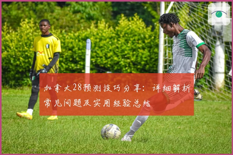 加拿大28预测技巧分享：详细解析常见问题及实用经验总结