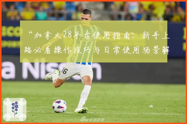 “加拿大28平台使用指南：新手上路必看操作技巧与日常使用场景解析”