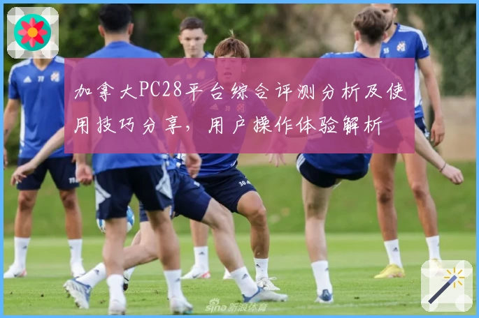 加拿大PC28平台综合评测分析及使用技巧分享,用户操作体验解析