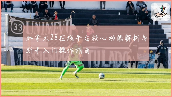 加拿大28在线平台核心功能解析与新手入门操作指南