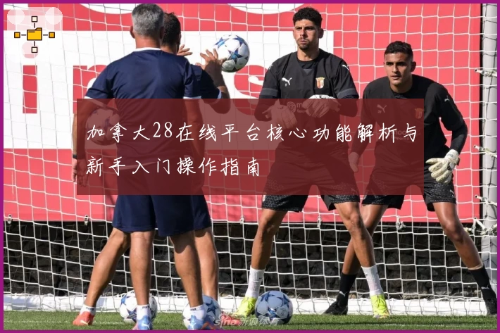 加拿大28在线平台核心功能解析与新手入门操作指南