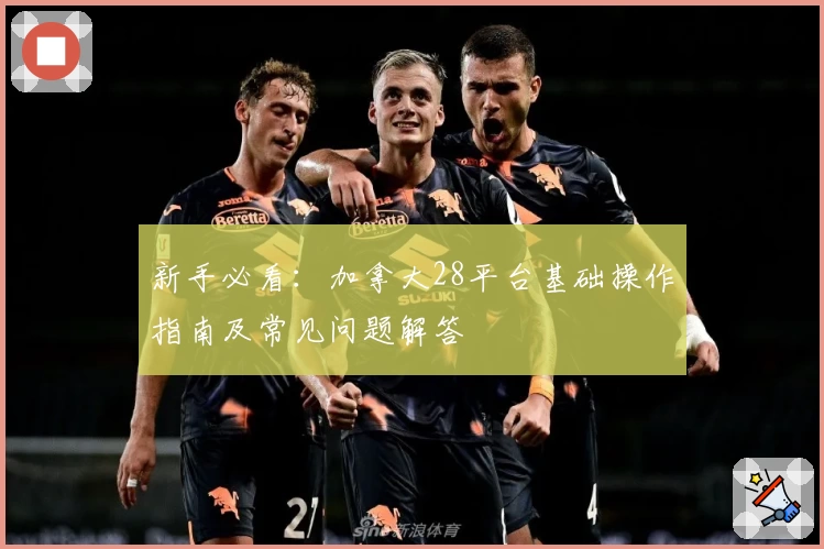 新手必看:加拿大28平台基础操作指南及常见问题解答